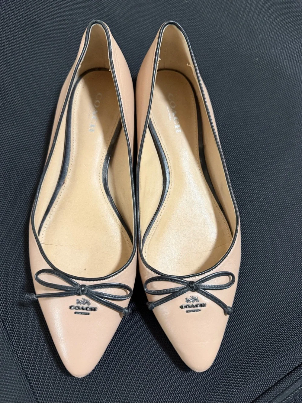Coach women pointed